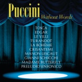 Tosca: "E lucevan le stelle" (Instrumental) artwork