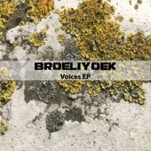 Voices - EP artwork