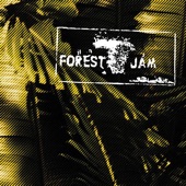 Forest Jam Sessions 2014 - 2016 artwork