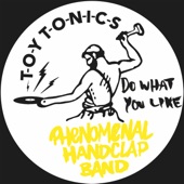 Phenomenal Handclap Band - Do What You Like