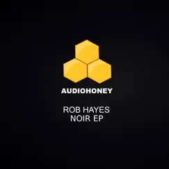 Noir EP by Rob Hayes album reviews, ratings, credits