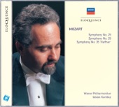 Symphony No. 25 in G Minor, K. 183: I. Allegro con brio artwork