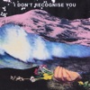 I Don't Recognise You - Single