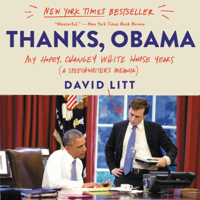 David Litt - Thanks, Obama artwork