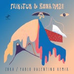 Nikitch & Kuna Maze - ZBRA (Pablo Valentino Remix)