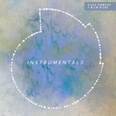Ram Dass - Instrumentals artwork