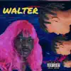 Walter (feat. Mack 11) - Single album lyrics, reviews, download