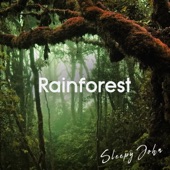 Rainforest - Sleep & Nature Sounds artwork