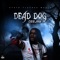 Dead Dog - CeeJay lyrics