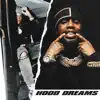 Hood Dreams - Single album lyrics, reviews, download