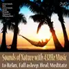 Stream & download Sounds of Nature with 432Hz Music to Relax, Fall Asleep, Heal, Ocean Sounds, Rain, Forest Sounds, Brook, Relaxation Music