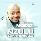 Nzulu Yemfihlakalo artwork