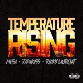Temperature Rising (feat. Jadakiss & Ricky Laurent) artwork