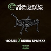 Crickets - EP artwork