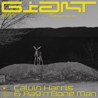 Calvin Harris & Rag'N'Bone Man - Giant