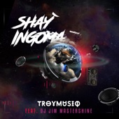 Shay'ingoma (feat. Dj Jim Mastershine) artwork