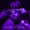2BAD (Slowed & Reverb) album lyrics, reviews, download