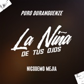 La Niña De Tus Ojos (Especial Duranguenze) artwork