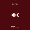Big Fish - Single album lyrics, reviews, download
