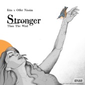 Stronger Than The Wind artwork