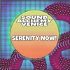 Serenity NOW! - Single