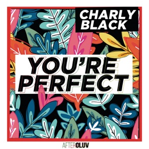 Charly Black - You're Perfect - Line Dance Music