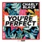 You're Perfect - Charly Black lyrics