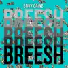 Breesh - Single album lyrics, reviews, download