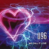 We Call It Love (Pulsedriver Remix) artwork