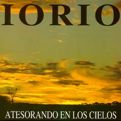 Atesorando los cielos - Ricardo Iorio