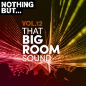 Nothing But... That Big Room Sound, Vol. 12 artwork