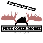 Take Back the Power artwork