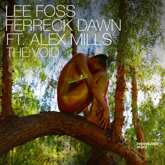 The Void (feat. Alex Mills) by Lee Foss & Ferreck Dawn song reviws