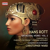 Rott: Complete Orchestral Works, Vol. 2 artwork