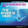 Vineyard UK - Mercy Is Falling