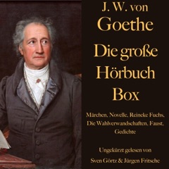 Johann Wolfgang von Goethe - Die große Hörbuch Box: Märchen, Novelle, Reineke Fuchs, Die Wahlverwandschaften, Faust, Gedichte