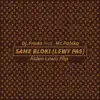 Same Bloki (Lewy Pas) [Aiden Lewis Flip] [feat. Mr. Polska] - Single album lyrics, reviews, download