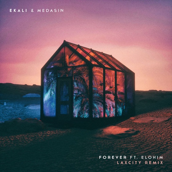Cover artwork for Forever (feat. Elohim) [Laxcity Remix]