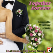 Together Forever (Romantic Saxophon Love Remix) - Schmitti