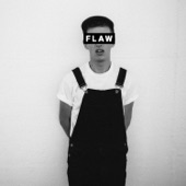 Flaw artwork