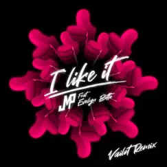 I Like It (feat. Evelyn Botto) [Vailot Remix] Song Lyrics