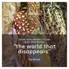 Stream & download The World That Disappears (Remixes)