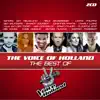 Make You Feel My Love (The Voice of Holland) song lyrics