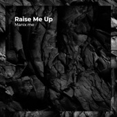 Raise Me Up (feat. Liza) artwork