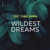 Wildest Dreams artwork