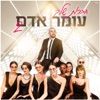 חברות שלך 2 - Single