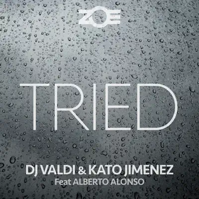 Tried (feat. Alberto Alonso) - Single - Dj Valdi