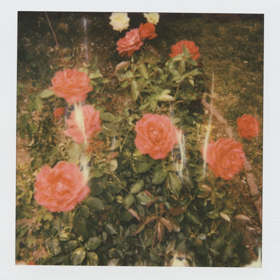 Cover artwork for i need to be alone.