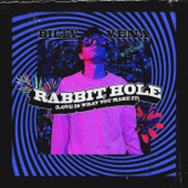 Rabbit Hole (Love Is What You Make It) artwork