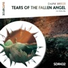 Tears of the Fallen Angel - EP